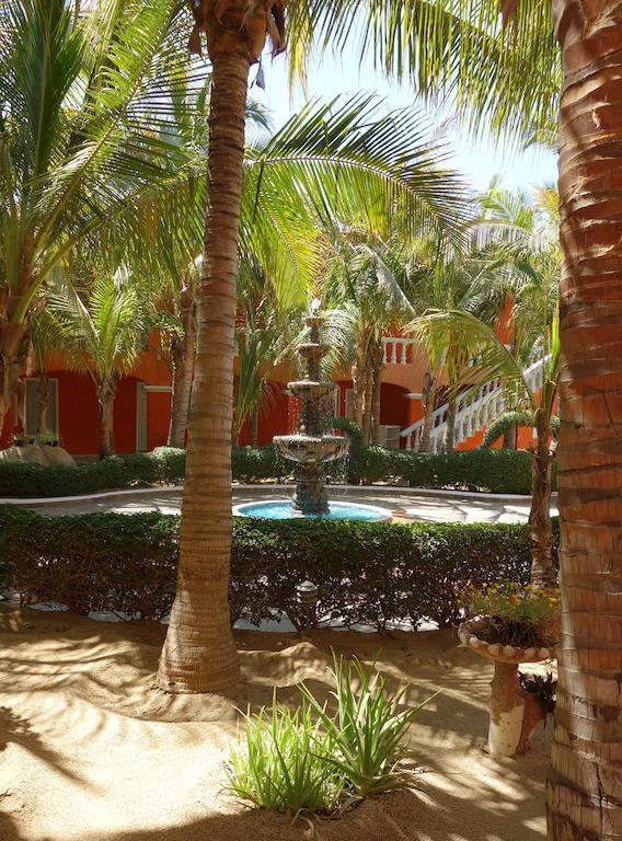 فندق كابو سان لوكاسفي  Oasis Los Cabos المظهر الخارجي الصورة